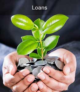 Money-Plant-Banking-And-Loan